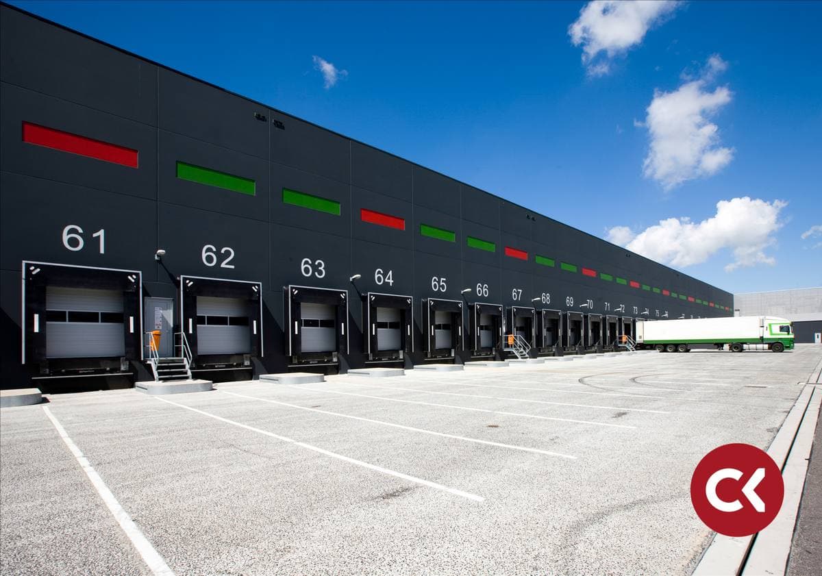 Transporte de palets: medidas, tipos y cómo prepararlos para el envío