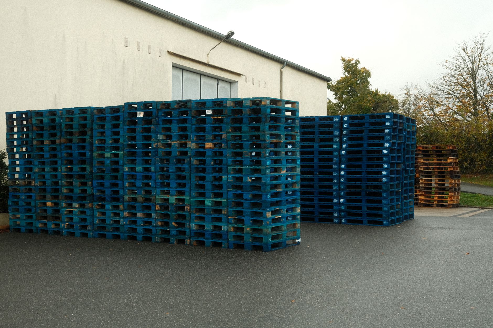 Operarios cargando palets en un almacén logístico europeo